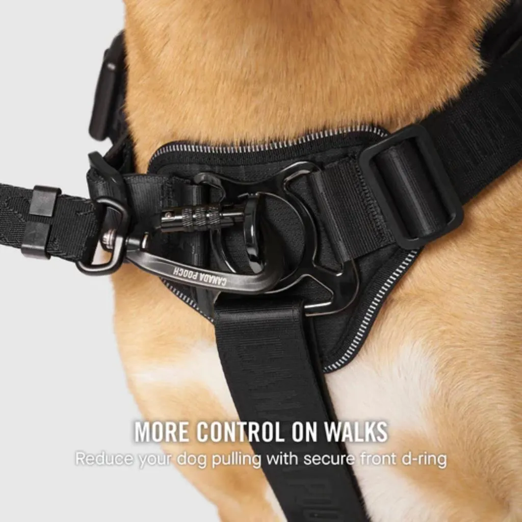 Core Complete Control Harness Red