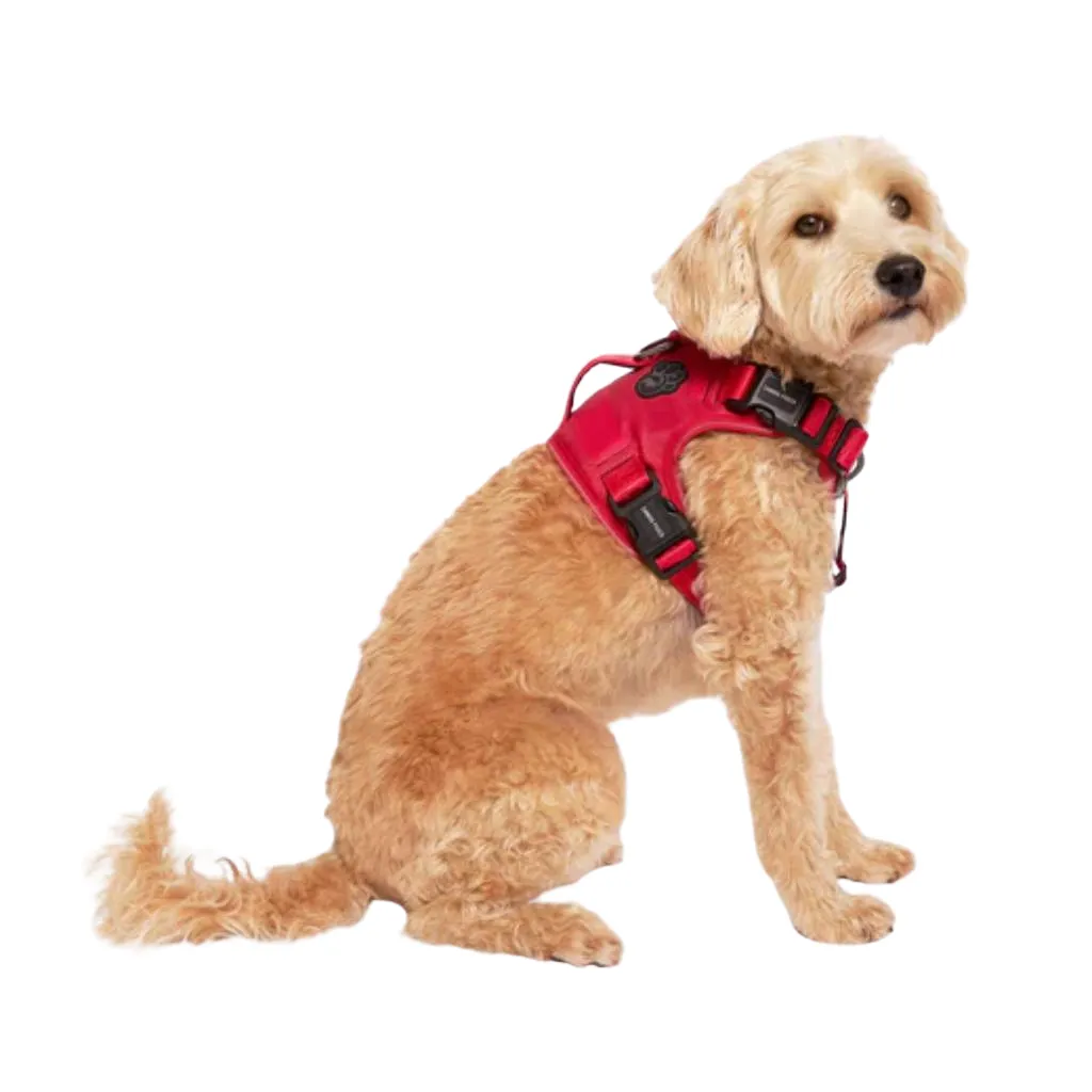 Core Complete Control Harness Red