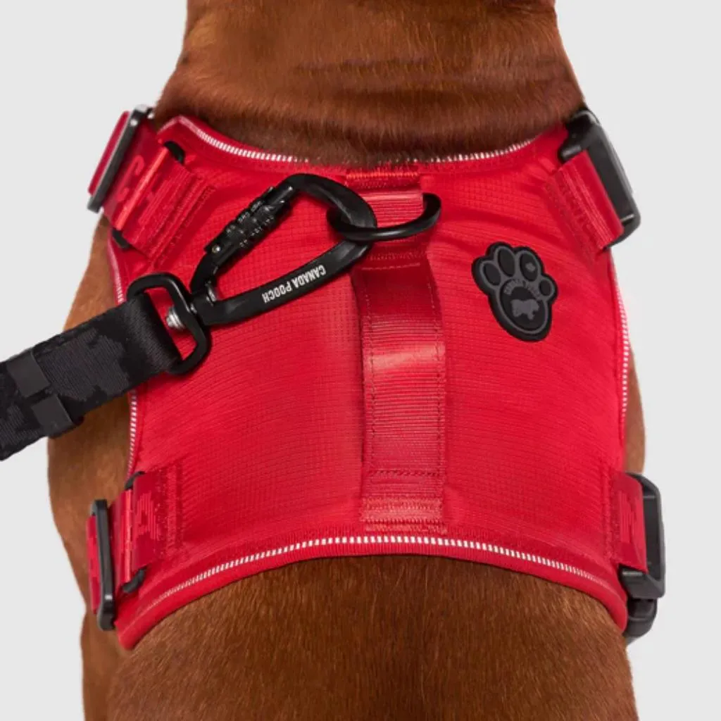 Core Complete Control Harness Red