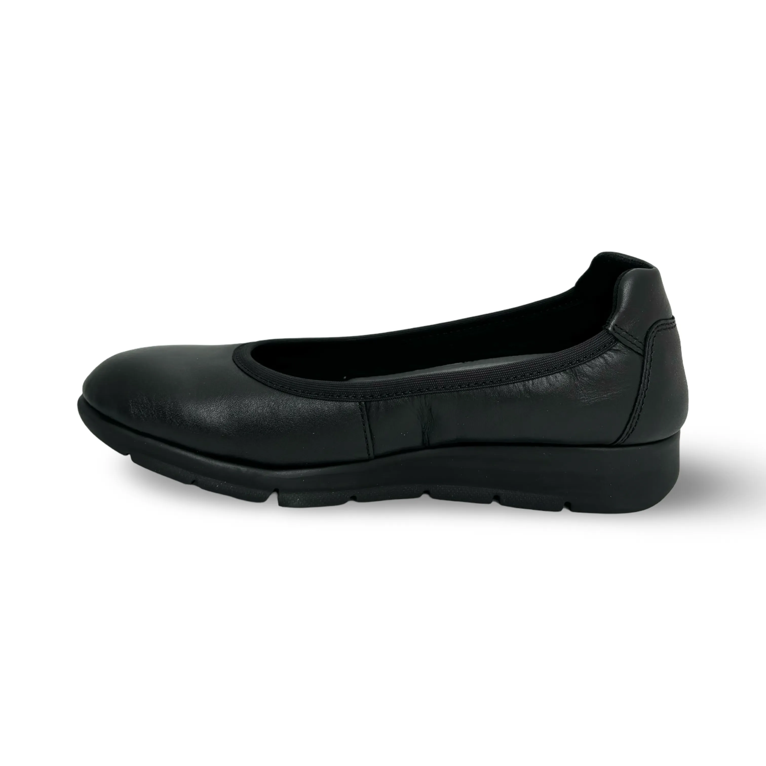 Filbert Black Flat