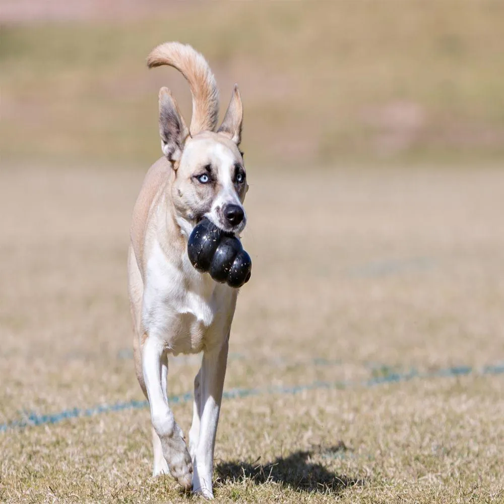 KONG Extreme Dog Toy