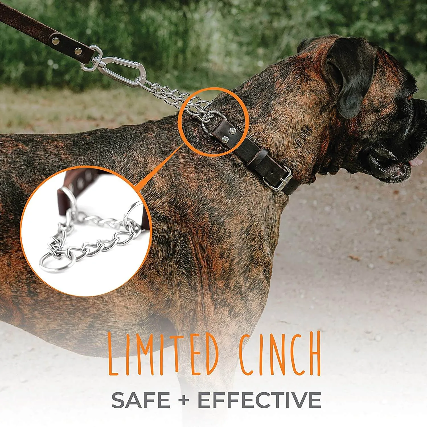 Leather Martingale Training Collar for Gentle Correction