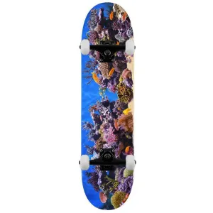 Mini Logo Complete Skateboard 18 Fish Tank 242 Multi Colour 8"