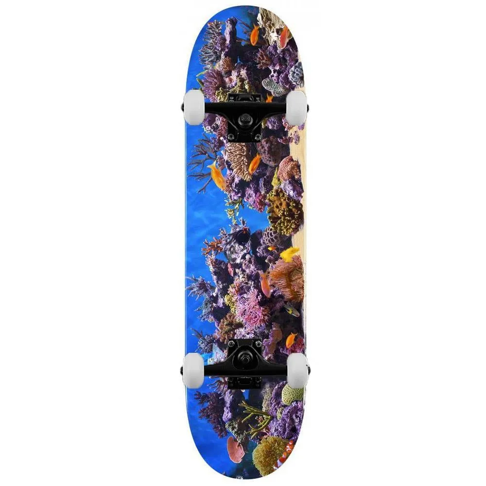 Mini Logo Complete Skateboard 18 Fish Tank 291 Multi Colour 7.75"