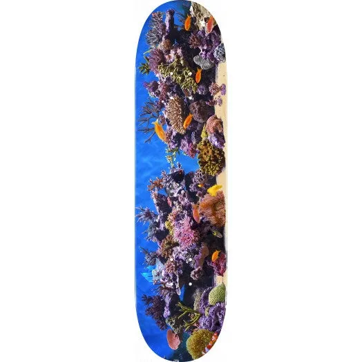 Mini Logo Skateboard Deck 18 Fish Tank 191 Mini Multi  Colour 7.5"