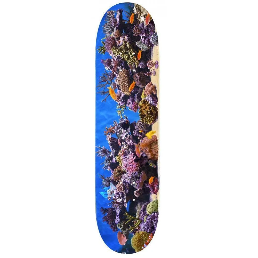 Mini Logo Skateboard Deck 18 Fish Tank 243 Multi Colour 8.25"